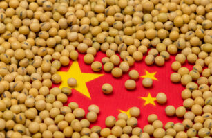 Soya beans scattered across and partially covering a Chinese flag, with yellow stars visible among the beans.