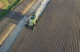 A green combine harvester moves through a large, neatly lined field, harvesting crops with dust trailing behind, captured from an aerial perspective in warm sunlight.