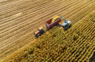 Aerial view of a tractor and harvester working in a field, harvesting crops and loading them into a trailer, with golden rows of plants stretching across the landscape.