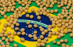 Loose soybeans are scattered over a Brazilian flag, with the green, yellow, and blue colors and the Ordem e Progresso motto visible beneath the beans.
