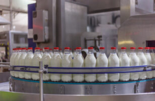 Rows of glass milk bottles with red caps move along a conveyor belt in a modern dairy processing plant, surrounded by industrial stainless steel machinery.
