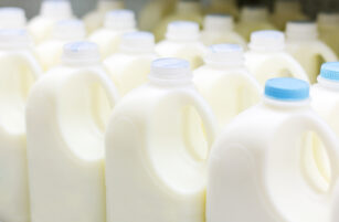 Rows of white plastic milk bottles with handles and blue or white caps are arranged closely together, suggesting they are in a dairy processing or packaging facility.