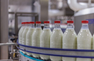 Rows of clear plastic bottles filled with milk, each with a red cap, are moving along a conveyor belt inside a factory setting.