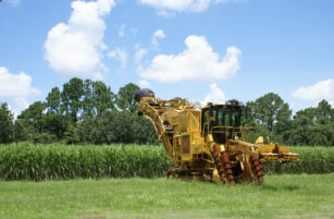 A large yellow sugarcane harvester stands in a green field with tall sugarcane, trees, and a blue sky with scattered clouds in the background.
