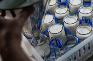 A person pours milk into glass jars using a metal funnel. Several jars, some filled with milk and others empty, are arranged in a white crate with blue holders.